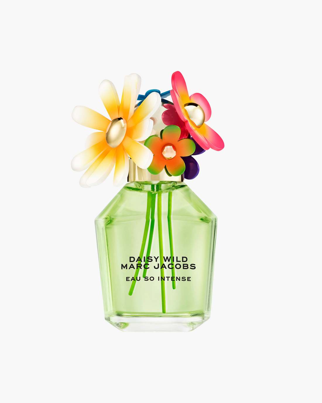 Daisy Wild Intense Eau De Parfum 100 mL No Color
